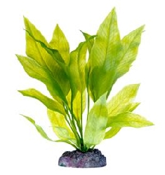 Растение Эхинодорус с утяжелителем, 15,24 см P32ZMH