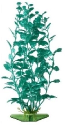 Растение перламутровое Кардамин зеленый P15SGR