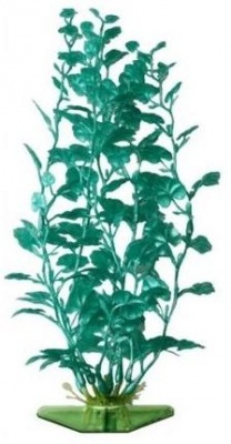 Растение перламутровое Кардамин зеленый P15SGR